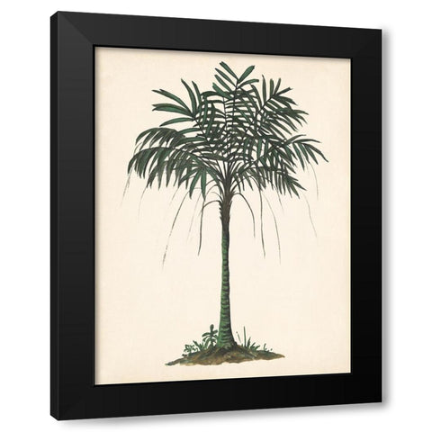 Palm Tree Study II Black Modern Wood Framed Art Print by Wang, Melissa