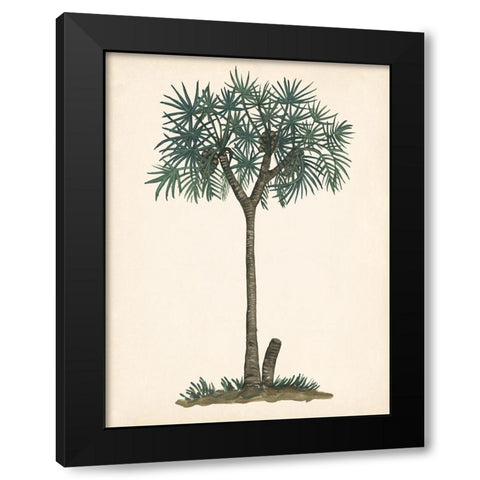 Palm Tree Study III Black Modern Wood Framed Art Print with Double Matting by Wang, Melissa