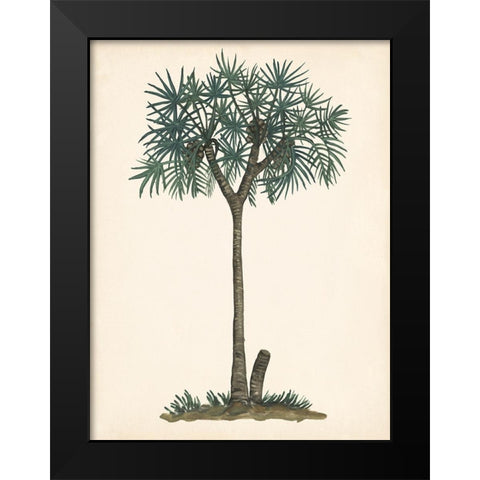 Palm Tree Study III Black Modern Wood Framed Art Print by Wang, Melissa