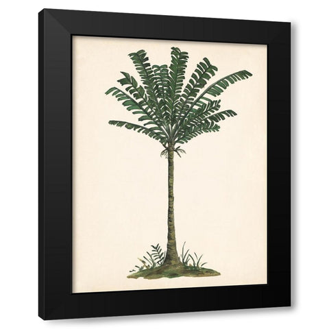 Palm Tree Study IV Black Modern Wood Framed Art Print by Wang, Melissa