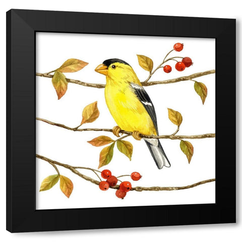 Birds and Berries II Black Modern Wood Framed Art Print with Double Matting by Maday, Jane