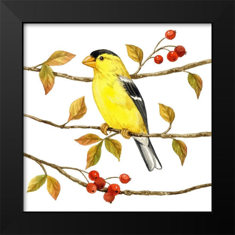 Birds and Berries II Black Modern Wood Framed Art Print by Maday, Jane