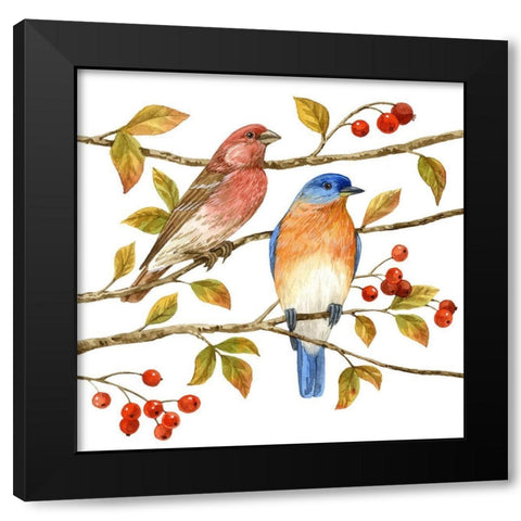 Birds and Berries IV Black Modern Wood Framed Art Print by Maday, Jane