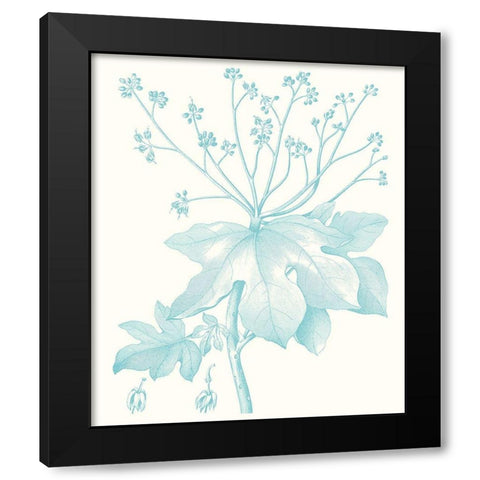 Botanical Study in Spa I Black Modern Wood Framed Art Print with Double Matting by Vision Studio