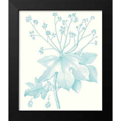 Botanical Study in Spa I Black Modern Wood Framed Art Print by Vision Studio