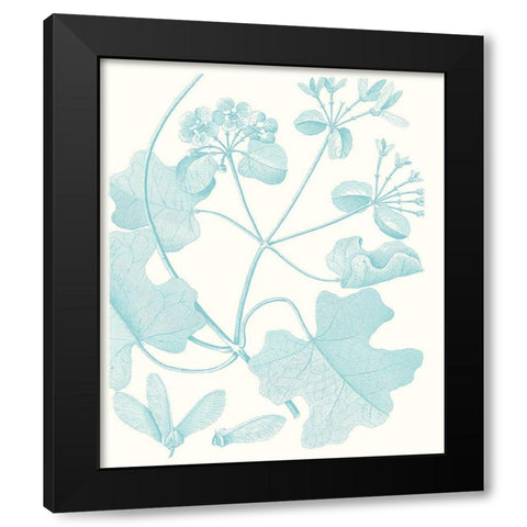 Botanical Study in Spa II Black Modern Wood Framed Art Print with Double Matting by Vision Studio