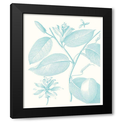 Botanical Study in Spa III Black Modern Wood Framed Art Print by Vision Studio