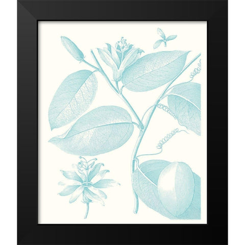 Botanical Study in Spa III Black Modern Wood Framed Art Print by Vision Studio