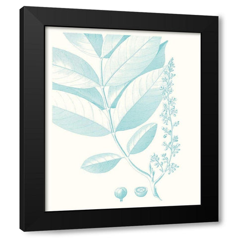 Botanical Study in Spa VI Black Modern Wood Framed Art Print with Double Matting by Vision Studio
