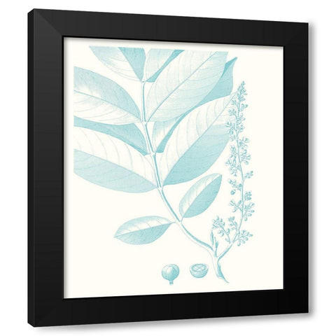 Botanical Study in Spa VI Black Modern Wood Framed Art Print by Vision Studio