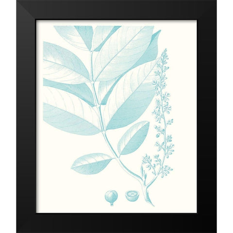 Botanical Study in Spa VI Black Modern Wood Framed Art Print by Vision Studio