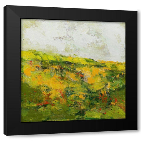 Doncaster Black Modern Wood Framed Art Print with Double Matting by Friedlander, Allan