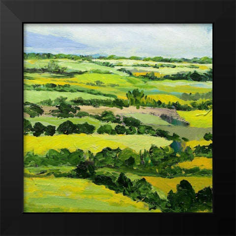 Brightwalton Green Black Modern Wood Framed Art Print by Friedlander, Allan
