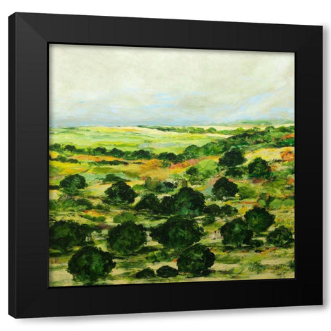 Broom Croft Black Modern Wood Framed Art Print with Double Matting by Friedlander, Allan