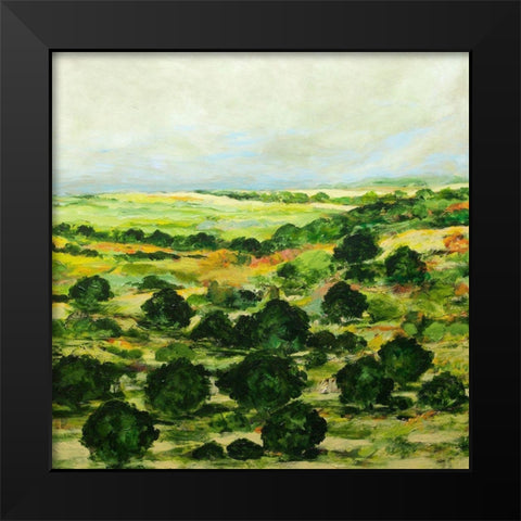 Broom Croft Black Modern Wood Framed Art Print by Friedlander, Allan