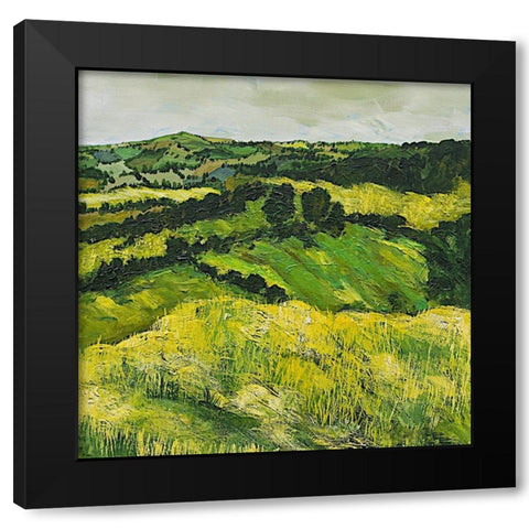 Tall Grass Path Black Modern Wood Framed Art Print by Friedlander, Allan