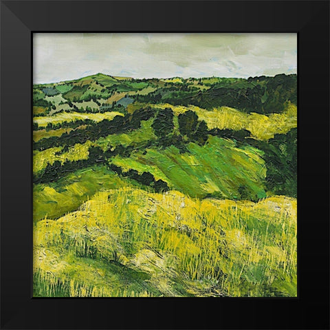 Tall Grass Path Black Modern Wood Framed Art Print by Friedlander, Allan