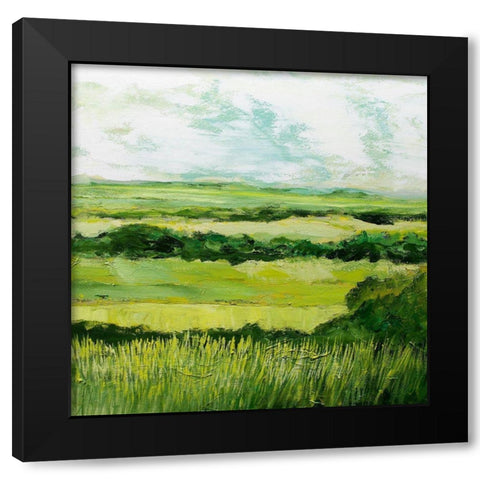 Stockbridge Black Modern Wood Framed Art Print by Friedlander, Allan