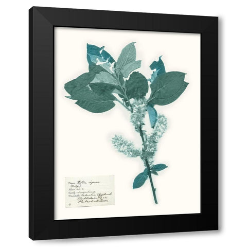 Pressed Flowers in Spa I Black Modern Wood Framed Art Print with Double Matting by Vision Studio