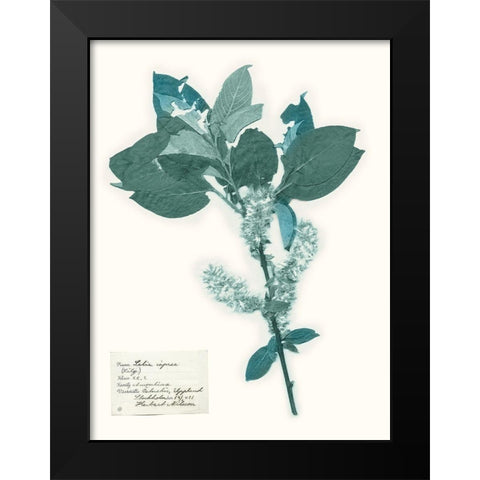 Pressed Flowers in Spa I Black Modern Wood Framed Art Print by Vision Studio