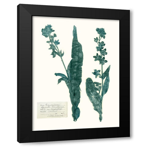 Pressed Flowers in Spa IV Black Modern Wood Framed Art Print with Double Matting by Vision Studio