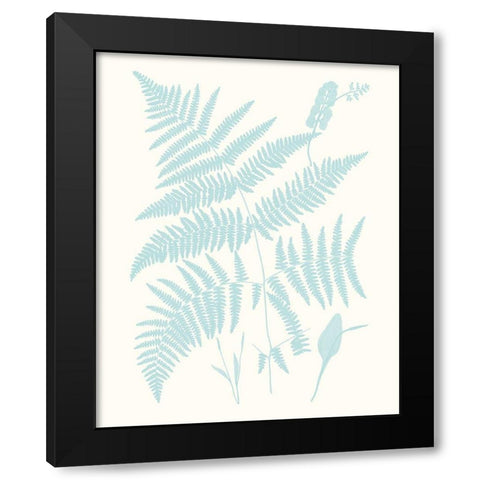 Serene Ferns I Black Modern Wood Framed Art Print with Double Matting by Vision Studio