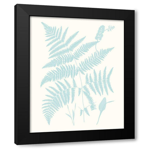 Serene Ferns I Black Modern Wood Framed Art Print by Vision Studio