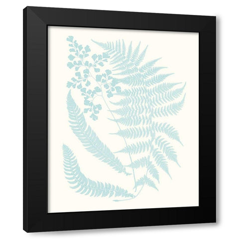 Serene Ferns II Black Modern Wood Framed Art Print with Double Matting by Vision Studio