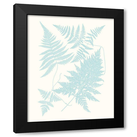 Serene Ferns IV Black Modern Wood Framed Art Print with Double Matting by Vision Studio