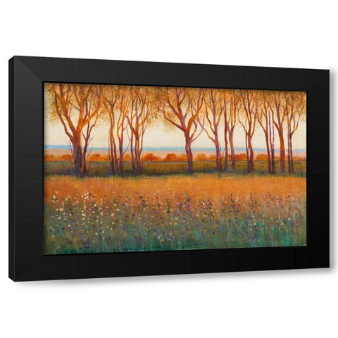 Glow in the Afternoon I Black Modern Wood Framed Art Print by OToole, Tim