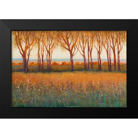 Glow in the Afternoon I Black Modern Wood Framed Art Print by OToole, Tim