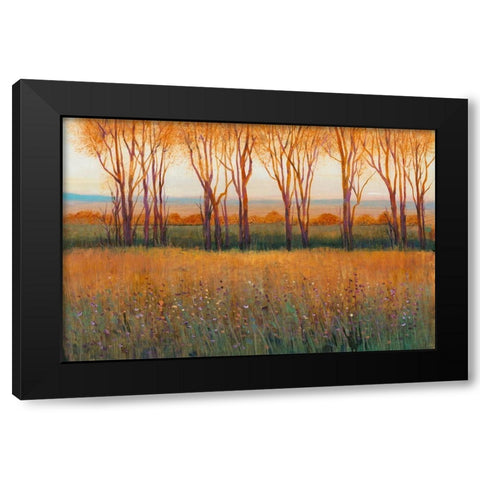 Glow in the Afternoon II Black Modern Wood Framed Art Print with Double Matting by OToole, Tim