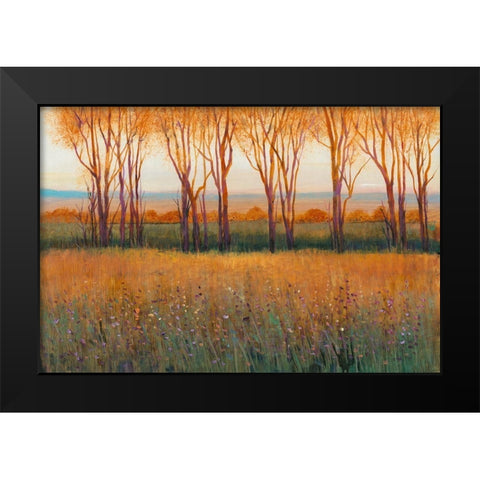 Glow in the Afternoon II Black Modern Wood Framed Art Print by OToole, Tim