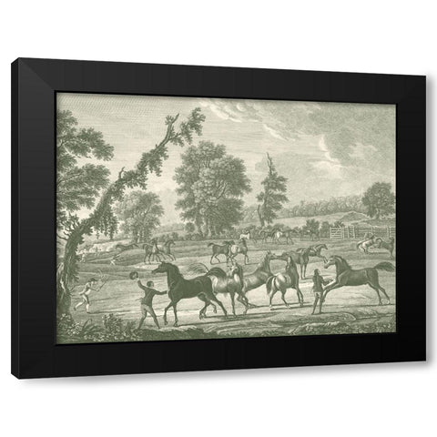Equestrian Scenes III Black Modern Wood Framed Art Print with Double Matting by Vision Studio