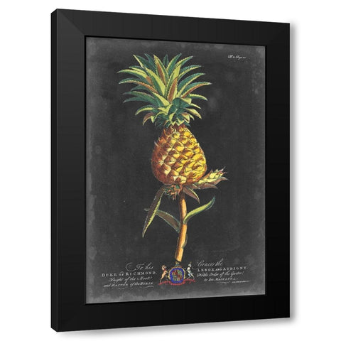 Dramatic Royal Botanical II Black Modern Wood Framed Art Print by Ehret, George