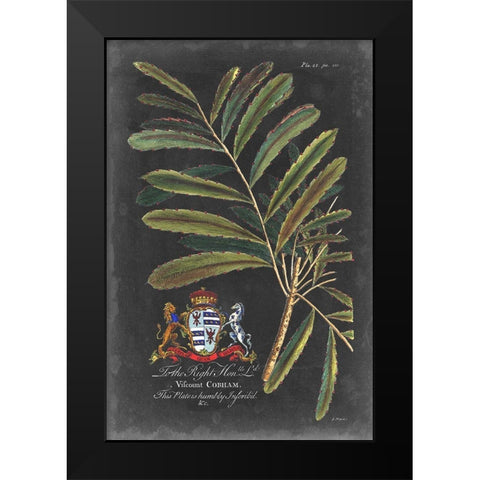 Dramatic Royal Botanical III Black Modern Wood Framed Art Print by Ehret, George