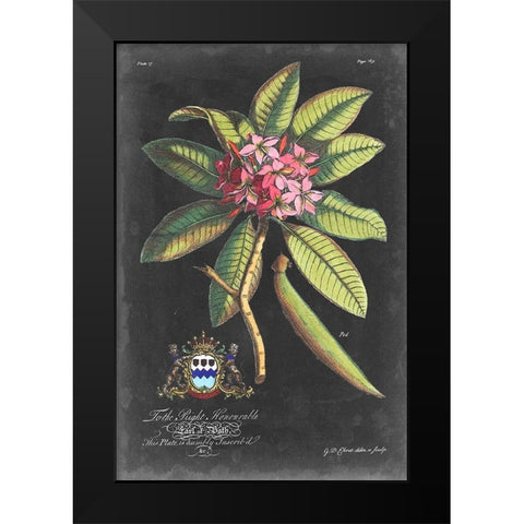 Dramatic Royal Botanical V Black Modern Wood Framed Art Print by Ehret, George