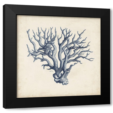 Coral Trio in Indigo I Black Modern Wood Framed Art Print with Double Matting by Vision Studio