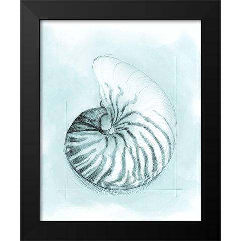 Coastal Shell Schematic II Black Modern Wood Framed Art Print by Meagher, Megan
