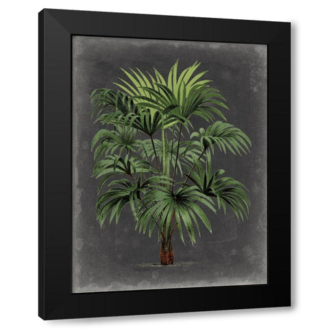 Dramatic Palm I Black Modern Wood Framed Art Print with Double Matting by Vision Studio