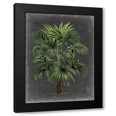 Dramatic Palm I Black Modern Wood Framed Art Print by Vision Studio