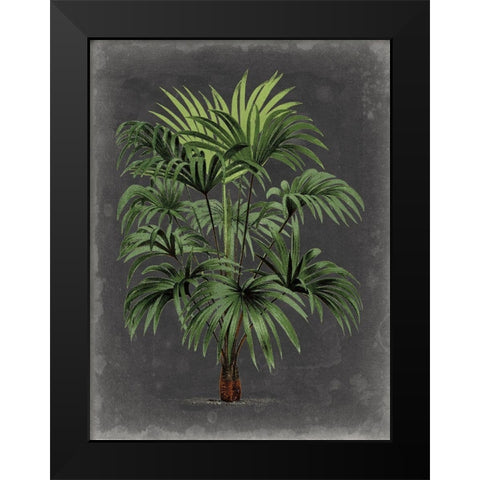 Dramatic Palm I Black Modern Wood Framed Art Print by Vision Studio