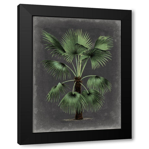 Dramatic Palm II Black Modern Wood Framed Art Print with Double Matting by Vision Studio