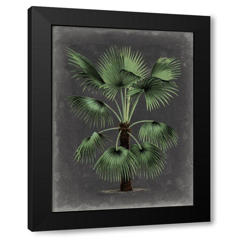 Dramatic Palm II Black Modern Wood Framed Art Print by Vision Studio