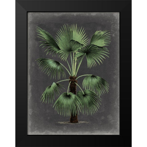 Dramatic Palm II Black Modern Wood Framed Art Print by Vision Studio