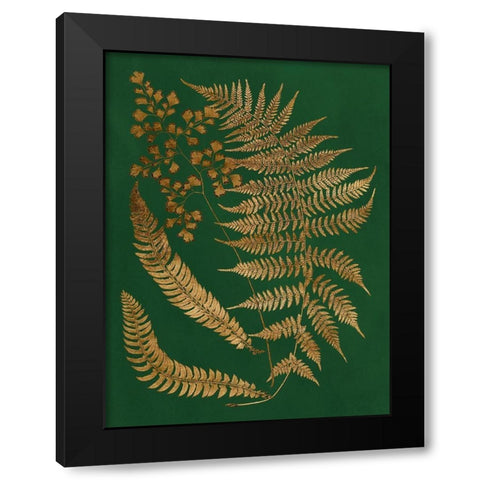 Gilded Ferns I Black Modern Wood Framed Art Print with Double Matting by Vision Studio