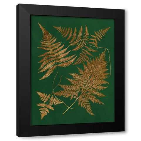 Gilded Ferns II Black Modern Wood Framed Art Print by Vision Studio