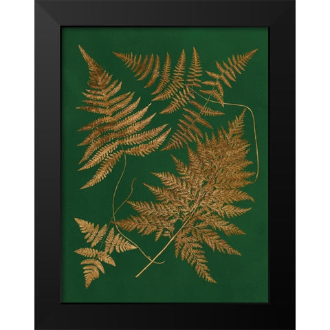 Gilded Ferns II Black Modern Wood Framed Art Print by Vision Studio