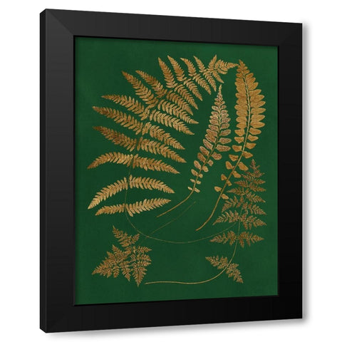 Gilded Ferns III Black Modern Wood Framed Art Print with Double Matting by Vision Studio
