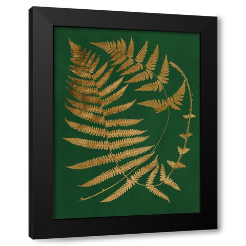 Gilded Ferns IV Black Modern Wood Framed Art Print by Vision Studio